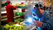 Se incrementó en 2,3% la cantidad de empresas exportadoras a junio de 2023