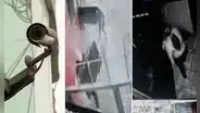 SJL: cámaras de seguridad captaron el robo de S/15.000 en artefactos de una vivienda