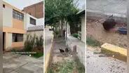 "Solo en Perú": hombre aprovecha la berma para construir un corral y criar a sus gallinas