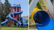¿Buscas juegos gratis? Así es es el Parque de los Niños en La Molina con inmensos toboganes