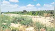 Lambayeque: Gerencia Regional de Agricultura sin dinero ni personal para culminar trabajos