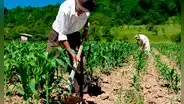 Agricultura 4.0: ¿qué es y cómo transformará la producción alimentaria?
