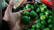 Conoce los precios de productos de primera necesidad en Arequipa: el limón cuesta S/9 el kilo