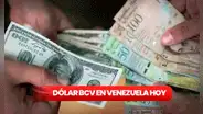 Dólar BCV HOY, miércoles 23 de agosto 2023: conoce la cotización del dólar en Venezuela