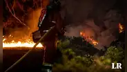 España declara zona de catástrofe a Tenerife por incendio forestal que arrasa 13.000 hectáreas
