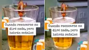 Captan a cucaracha tomando cerveza en un vaso: “Quiere ahogar sus penas”
