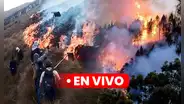 Incendio forestal en Apurímac EN VIVO: reportan 2 muertos y otros 11 heridos tras feroz siniestro