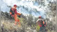 Apurímac: incendio forestal deja 2 muertos y 2 desaparecidos