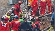 Derrumbe en Comas: perro guía ayudó a localizar el cuerpo del niño sepultado por pared de vivienda