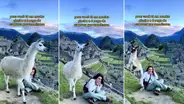 Llamita se roba la atención en foto de italiana en Machu Picchu: “Disculpa que te opaque, querida”