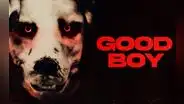 'Good Boy 2023', la película del hombre disfrazado de perro: ¿dónde ver ONLINE GRATIS?