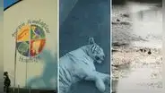 Municipalidad de Lima encontró en ESTADO DE ABANDONO las instalaciones del zoológico de Huachipa
