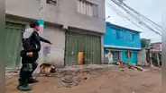 VES: extorsionadores detonan explosivo en puerta de negocio dedicado a organizar eventos