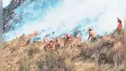 Incendios forestales avanzan en ocho regiones
