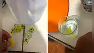 Joven utiliza caramelo de limón para hacer limonada ante alza de precios en Perú: "Es un lujo"