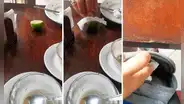 Cliente guarda trozo de limón que no utilizó en restaurante y usuarios reaccionan: “Es oro”