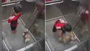 Niño salva a su perro luego de que su collar quedó atrapado en puerta de ascensor: “Sentí desesperación”