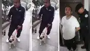Madre de sujeto que agredió a perrita en La Victoria fue quien denunció el hecho, informó PNP