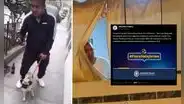Fiscalía inicia investigación contra sujeto que agredió a perrita en La Victoria