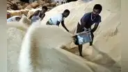 India endurece ahora exportación de arroz basmati y peligro sobre precios globales se dispara