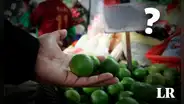 Precio del limón: ¿cuánto cuesta el kilo por región en Perú para el 30 de agosto?