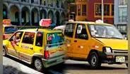 ¿Qué pasó con los ticos? conoce la razón detrás de su desaparición en Lima