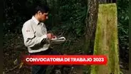 ¡Para adultos con secundaria! Sernanp abre convocatoria de trabajo con PAGOS desde S/1.800