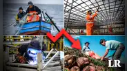 PBI peruano solo crecería 1,1% este 2023: ¿qué sectores terminarían en negativo?