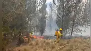 Incendio forestal afecta más de 30 hectáreas en Parque Nacional Huascarán, en Áncash