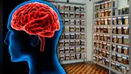 Conoce el Museo del Cerebro en Lima: ¿dónde se ubica y cómo llegar?