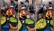 Captan a vendedor de limones custodiado por vigilantes: “Lo que tiene en las mallas es oro puro”