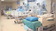 COVID-19: 800 peruanos se contagian a la semana y 70 de ellos mueren