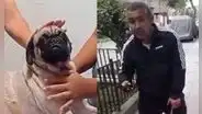Caso Dachi: atacante permanecerá detenido hasta que se fije audiencia por maltrato animal