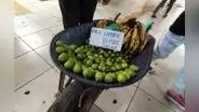 Chiclayo: comerciantes ofrecen a S/1 la unidad de limón por escasez del producto