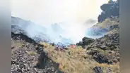 Puno : incendio forestal está incontrolable en Corani