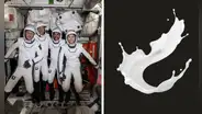 NASA: ¿es posible masturbarse en el espacio?