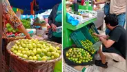 Precio del limón HOY 1 de septiembre: conoce cuánto cuesta el kilo del cítrico en cada región del Perú