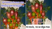 Novio sorprende a su pareja con un ramo de cebollas y limones: ¡el regalo más caro del Perú!