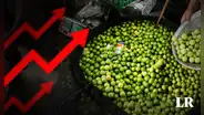 INEI: precio del limón se disparó en 70% durante agosto