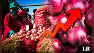 ¡Precio de la cebolla roja alcanza un máximo histórico!: ¿cuánto está y por qué aumentó su valor?