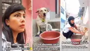 Mujer le roba el limón que perro tenía colgado en el cuello: "Esto ahora vale oro"