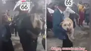 Llevan a 2 perritos a matrimonio en Huancayo e invitados creen que son regalos de boda