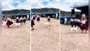 Perrito interrumpe show de baile folclórico y usuarios bromean: “Firulais es el coreógrafo”