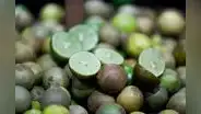 Limón ‘pavita’: ¿cómo es y cuánto cuesta el cítrico usado en Trujillo ante alza de precios?
