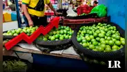¿Cuándo bajará el precio del limón en el Perú? Esto dice el Midagri