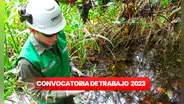 ¿Eres titulado y buscas trabajo? OEFA ofrece empleos con sueldos de hasta S/10.000
