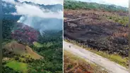 Incendio forestal lleva más de 10 días activo y arrasa con casi 30 hectáreas en San Martín