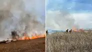 ¡Daño irreparable en el lago Titicaca! Voraz incendio arrasó con 2.150 hectáreas de totorales