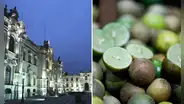 Informe revela que Palacio de Gobierno habría gastado miles de soles en limones de alta calidad