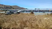 Titicaca se seca y condena a la extinción a 85 mil hectáreas de totorales